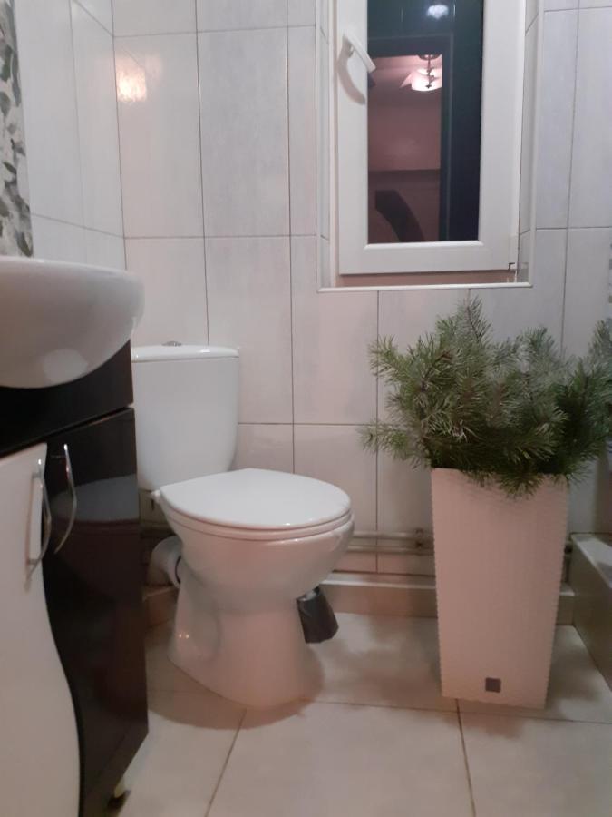 Guest House Viktoria Yaremche Bagian luar foto