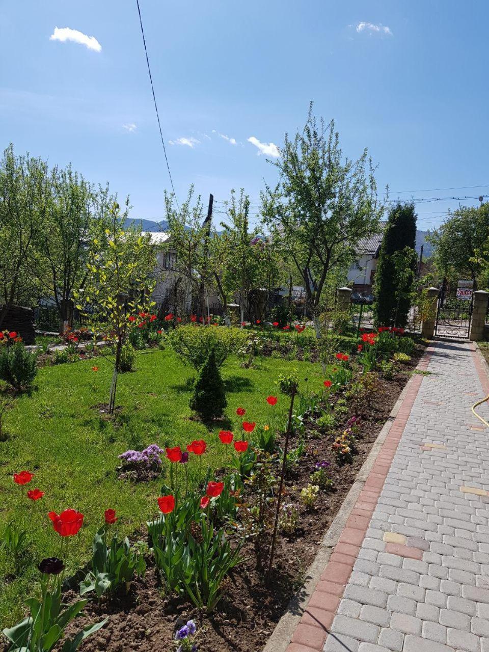 Guest House Viktoria Yaremche Bagian luar foto
